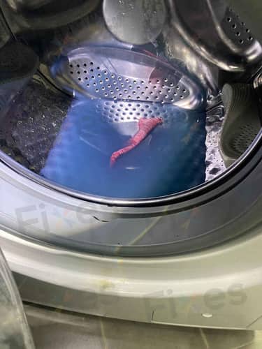 相關相片