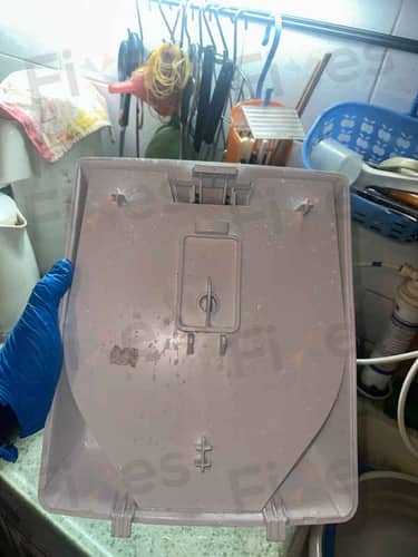 相關相片