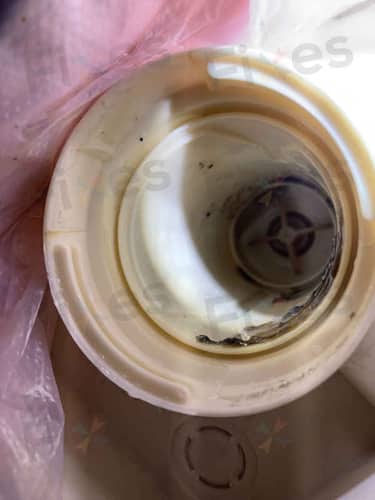 相關相片