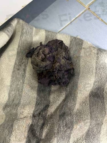 相關相片