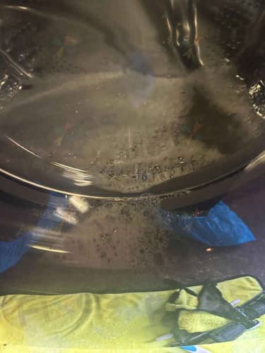 相關相片