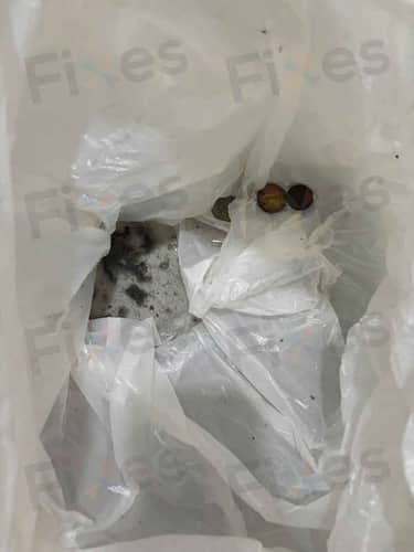 相關相片