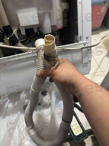 相關相片