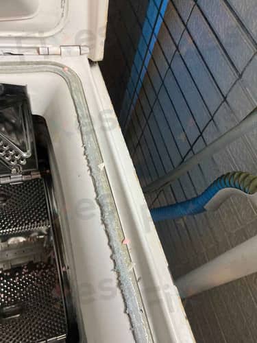 相關相片