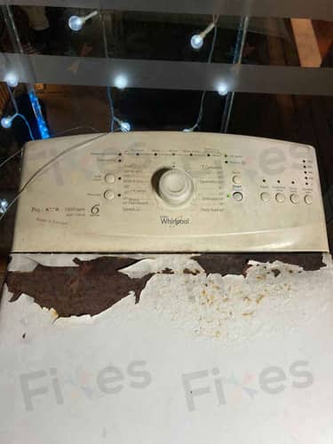 相關相片