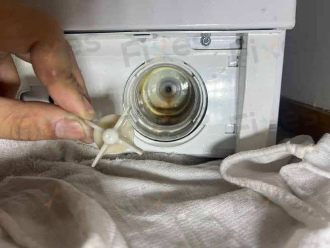 相關相片