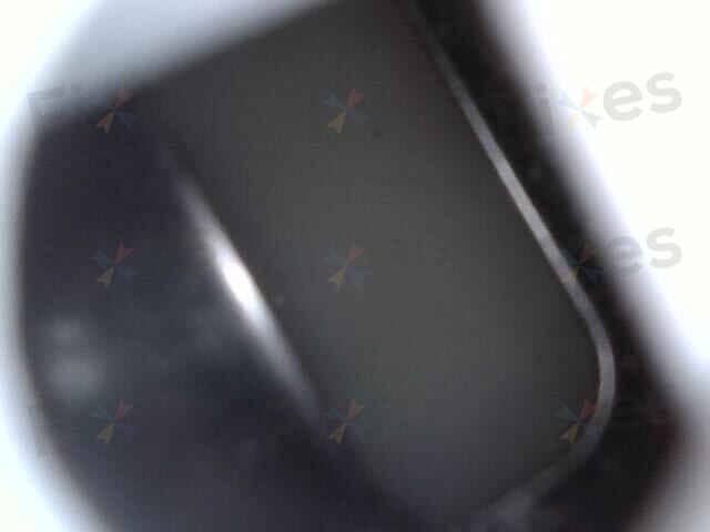 相關相片