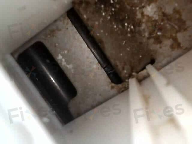 相關相片