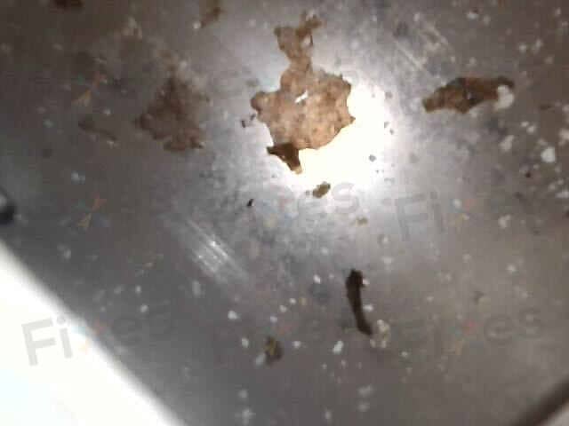 相關相片