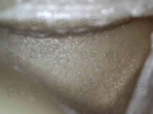 相關相片