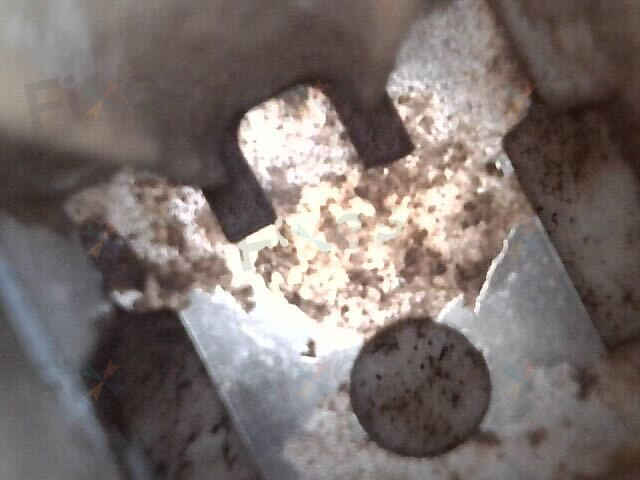 相關相片