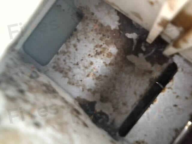 相關相片