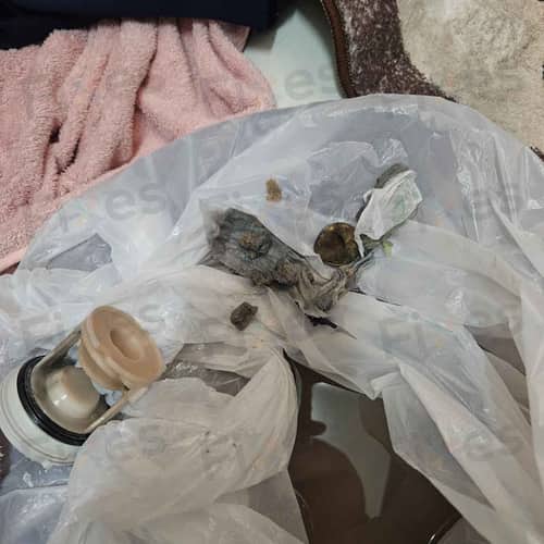 相關相片