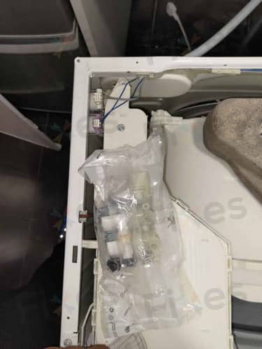 相關相片
