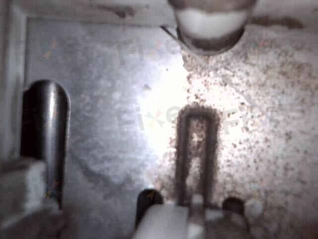 相關相片