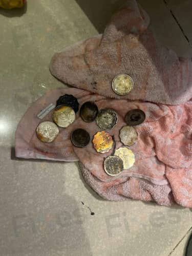 相關相片