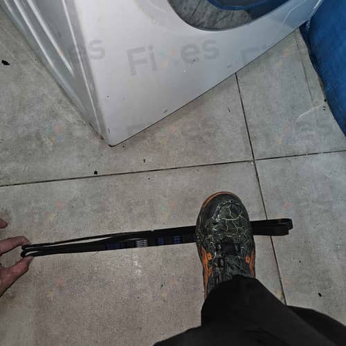 相關相片