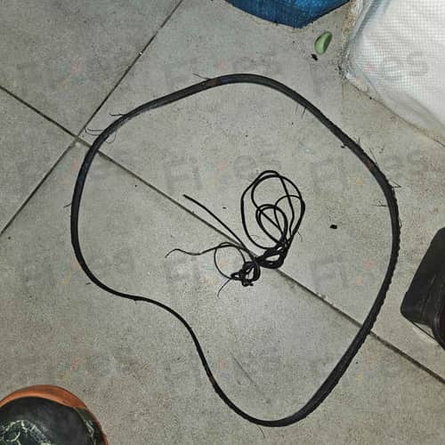相關相片