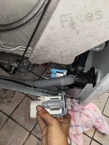 相關相片