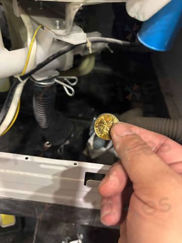 相關相片
