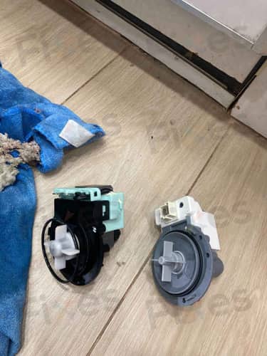 相關相片