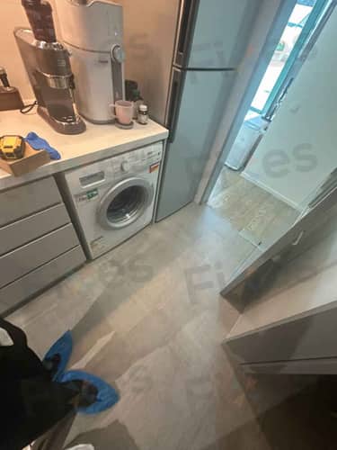 相關相片