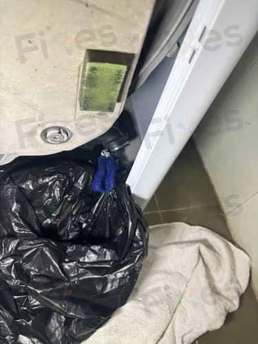 相關相片