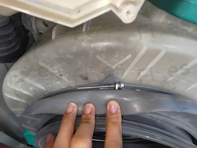 相關相片