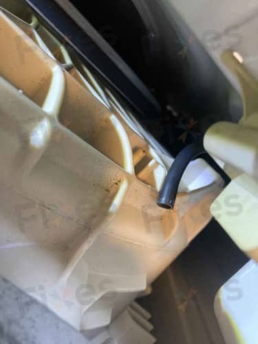相關相片