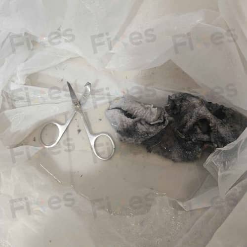 相關相片
