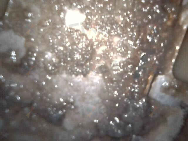 相關相片