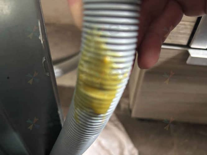 相關相片