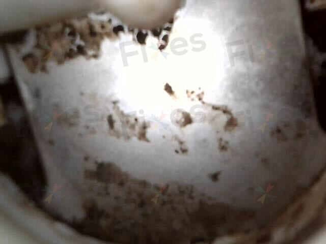 相關相片