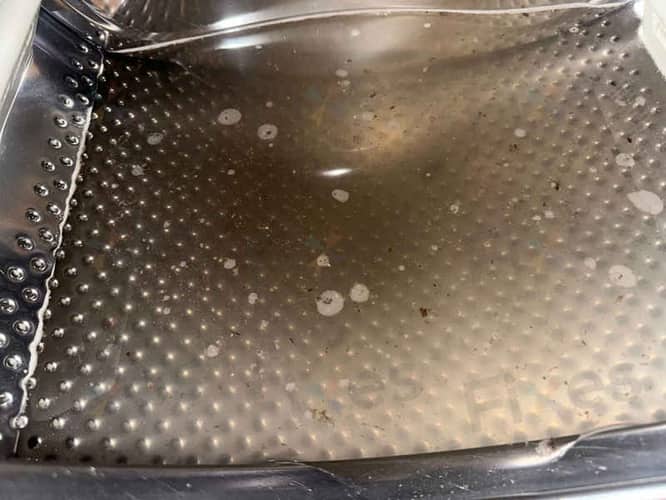 相關相片
