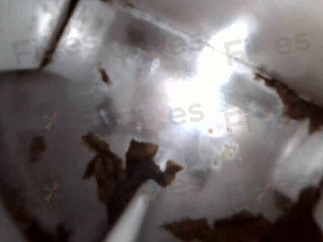 相關相片