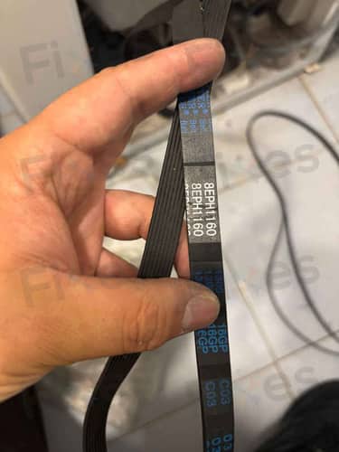 相關相片