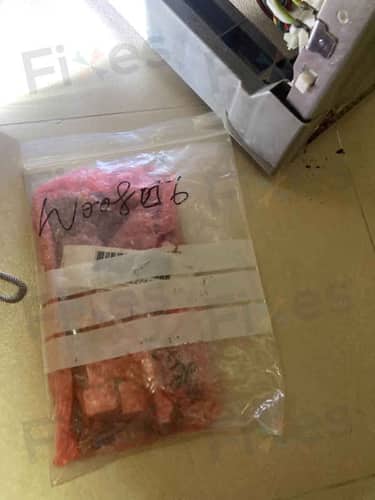相關相片