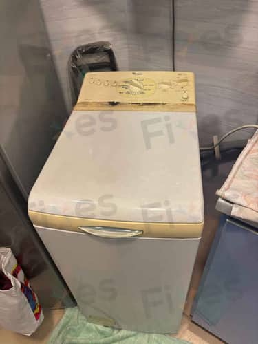 相關相片