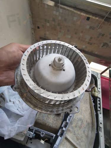 相關相片
