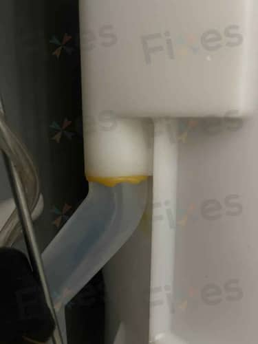 相關相片