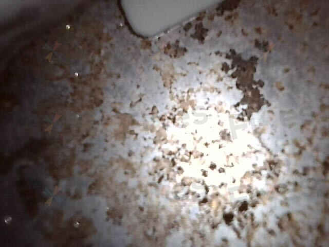 相關相片