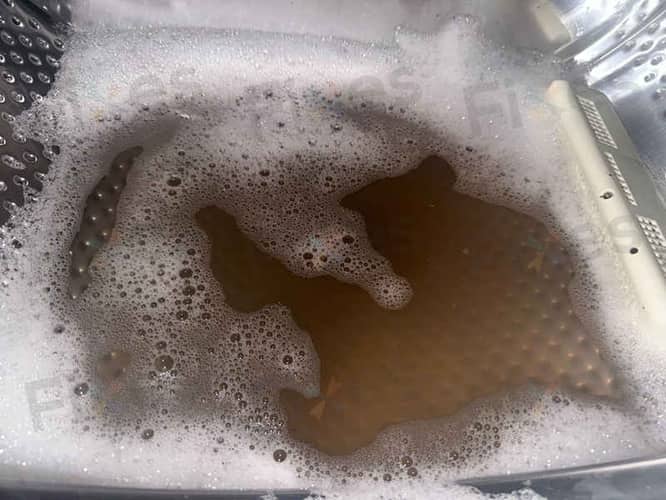 相關相片