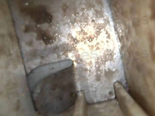 相關相片