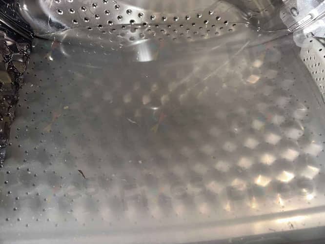 相關相片