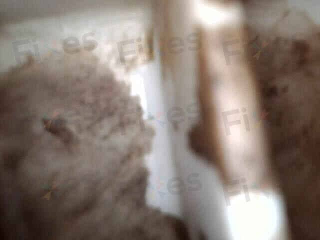 相關相片
