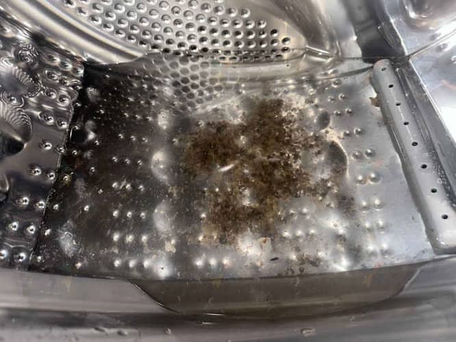 相關相片
