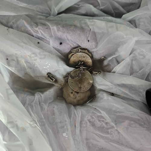 相關相片