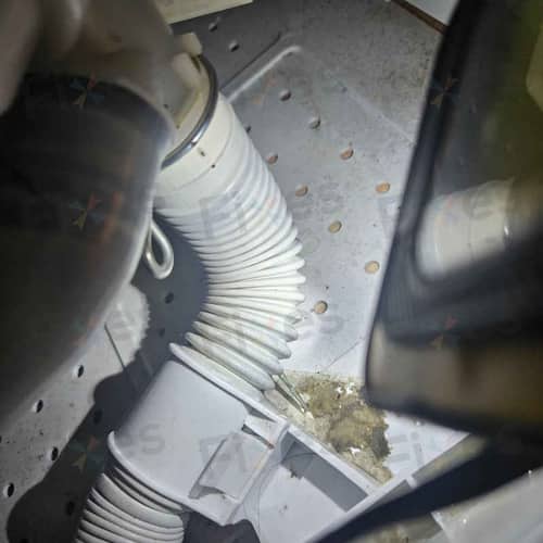 相關相片