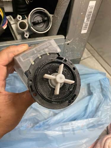 相關相片