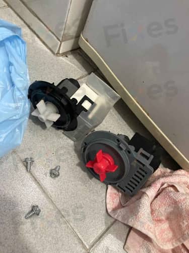 相關相片